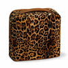 Wild Leopard